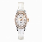231.28.30.20.55.001 Omega Seamaster Automatic with Mechanical Winding