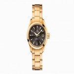231.50.30.20.06.002 Omega Seamaster Automatic with Mechanical Winding